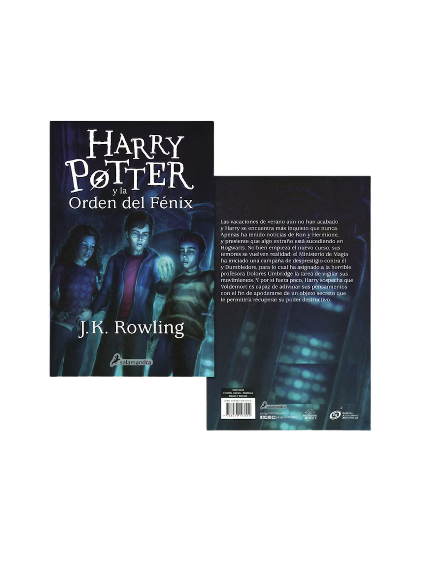 Cofre Harry Potter
