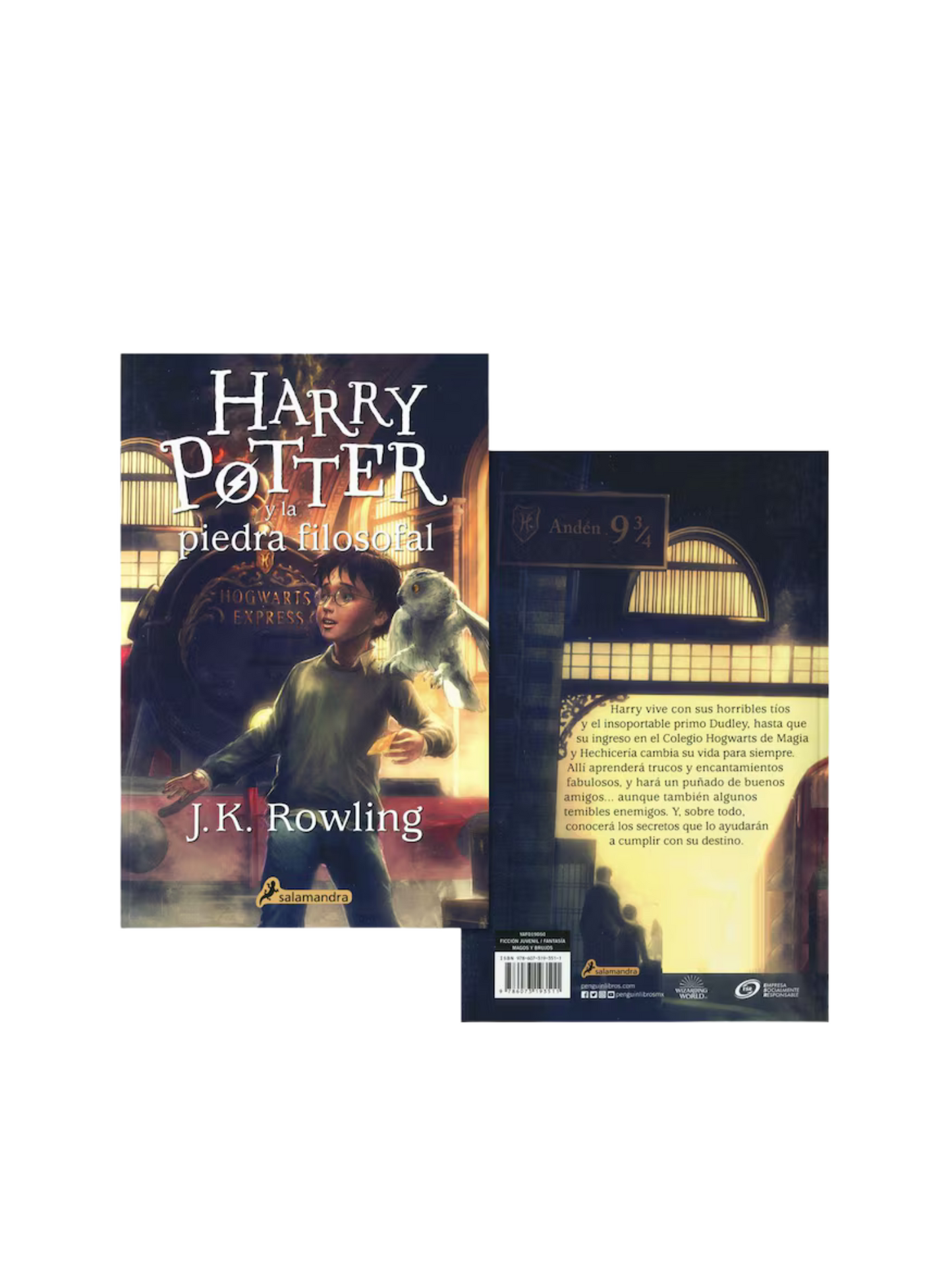 Cofre Harry Potter