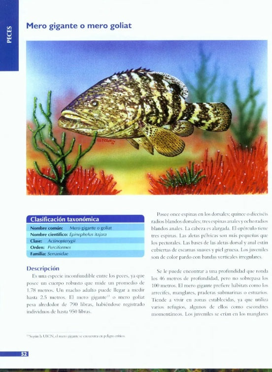 Fauna de Honduras en Peligro de Extinción, Tercera Edición (Ediciones Ramses)