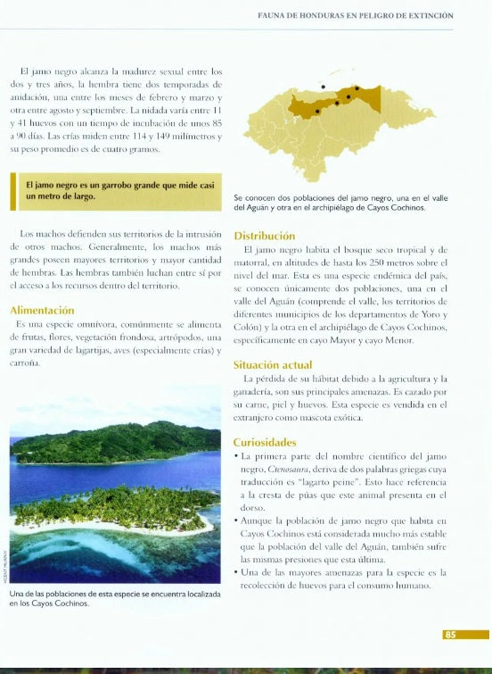 Fauna de Honduras en Peligro de Extinción, Tercera Edición (Ediciones Ramses)