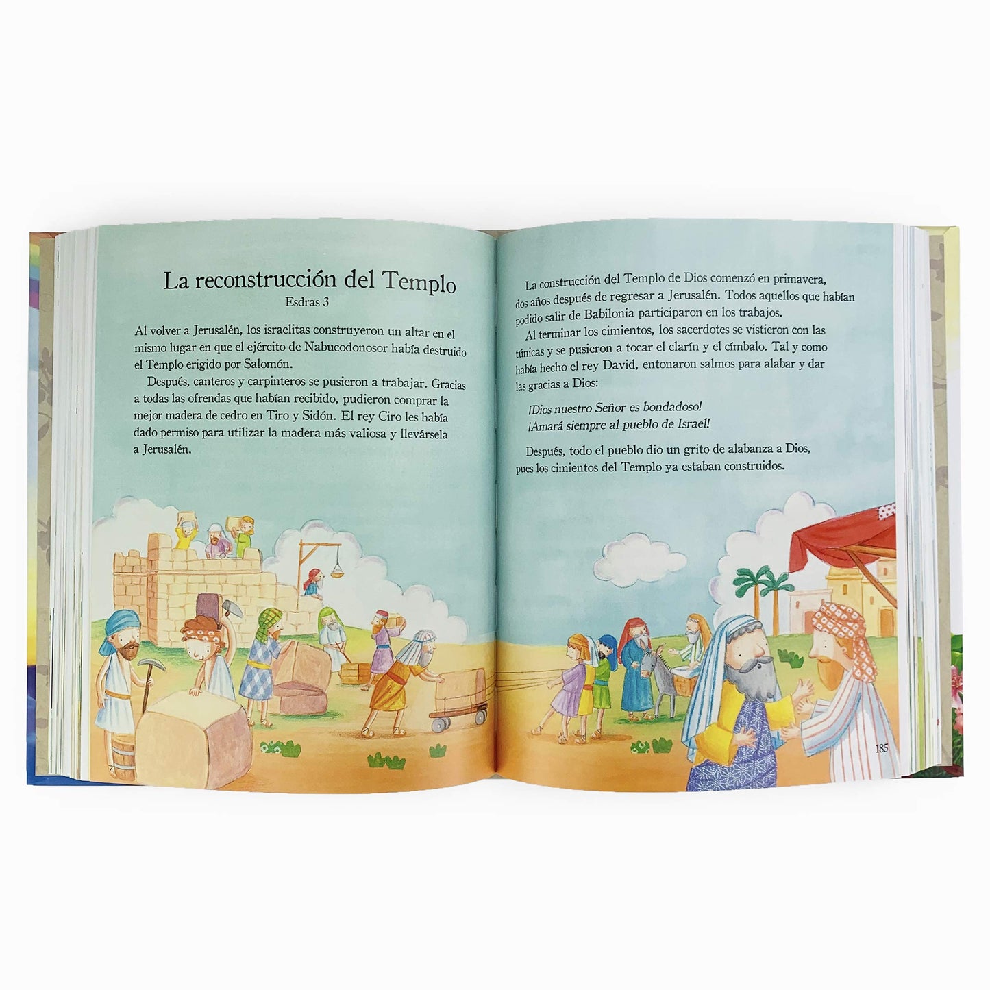 365 Historias de la Biblia y Oraciones Pasta Dura