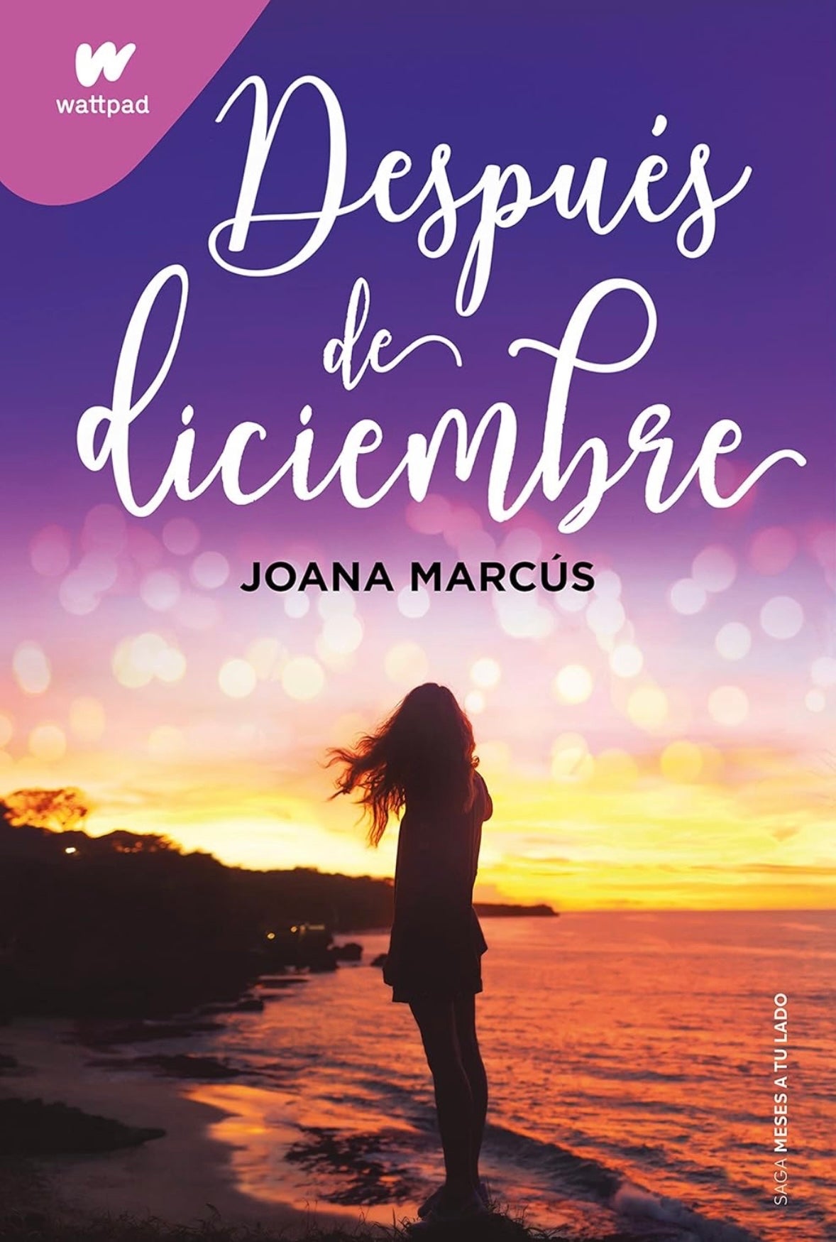 Después de Diciembre (Joana Marcús)