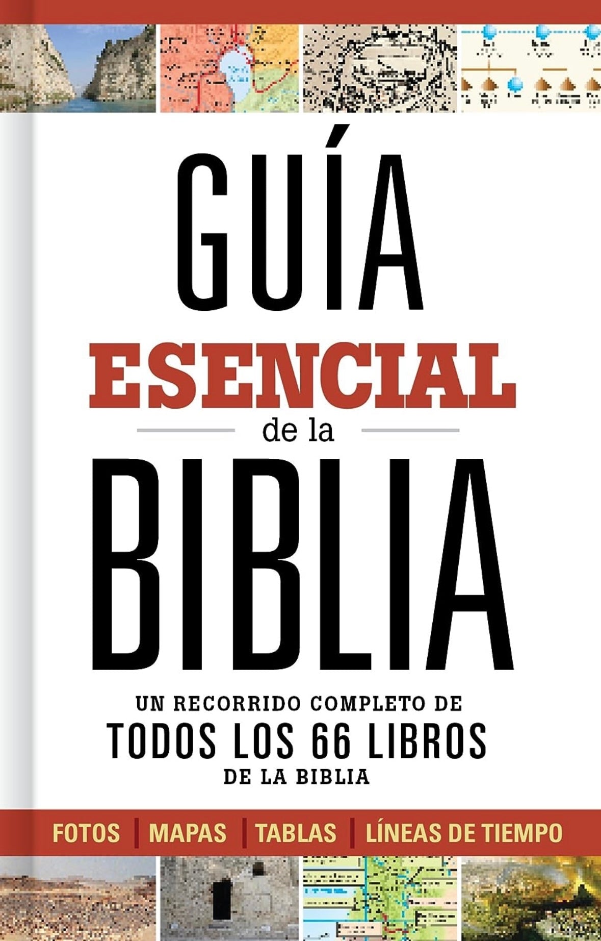 Guía esencial de la biblia