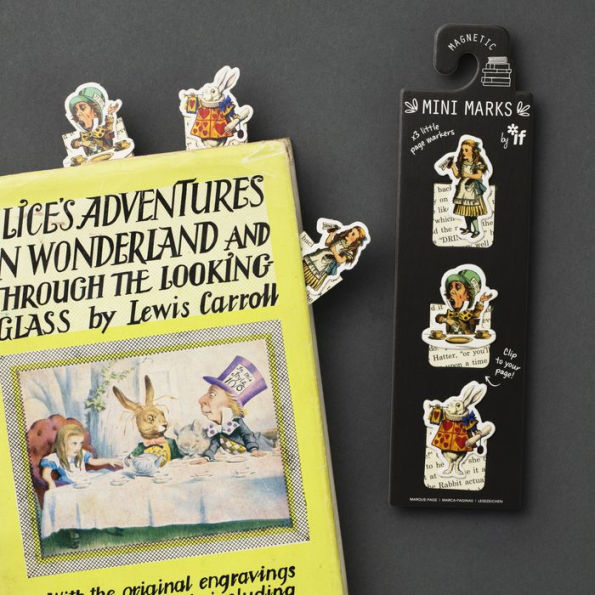 Separador Magnetico Alicia