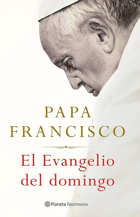 El Evangelio del domingo (Papa Francisco)