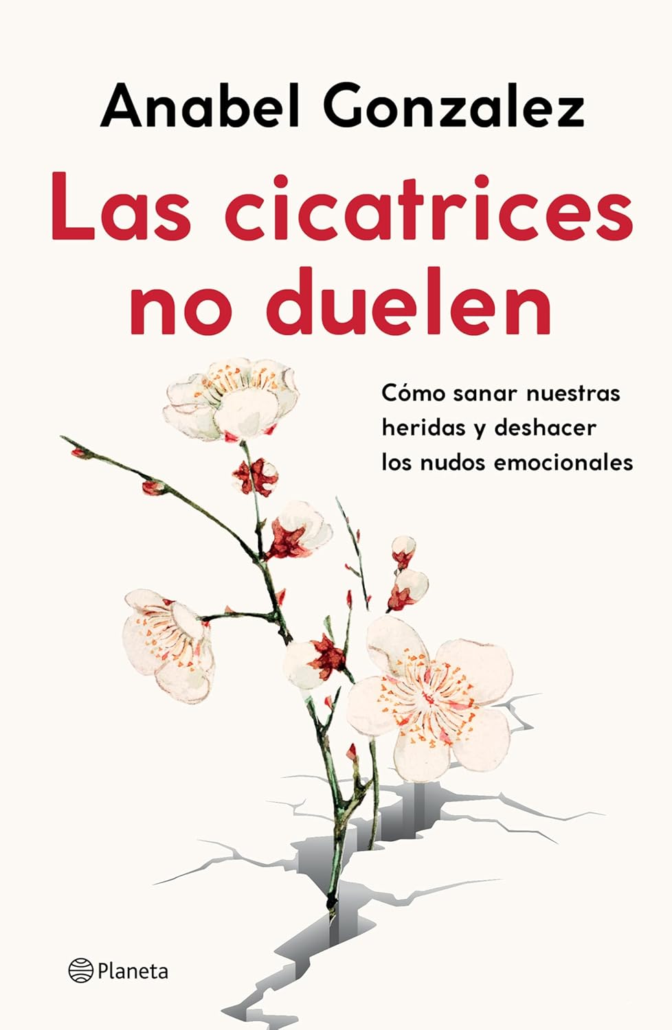 Las cicatrices no duelen, Tapa Blanda