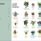 Cómo no matar tus plantas (Nueva edición): Consejos y cuidados para que tus plantas de interior sobrevivan
