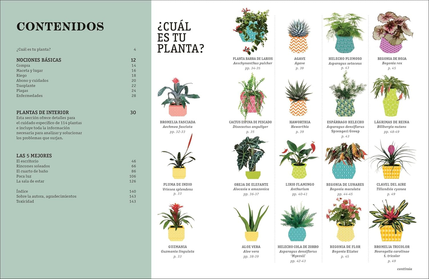 Cómo no matar tus plantas (Nueva edición): Consejos y cuidados para que tus plantas de interior sobrevivan