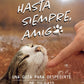 Hasta siempre, amigo gato: Una guía para despedirte de tu gato