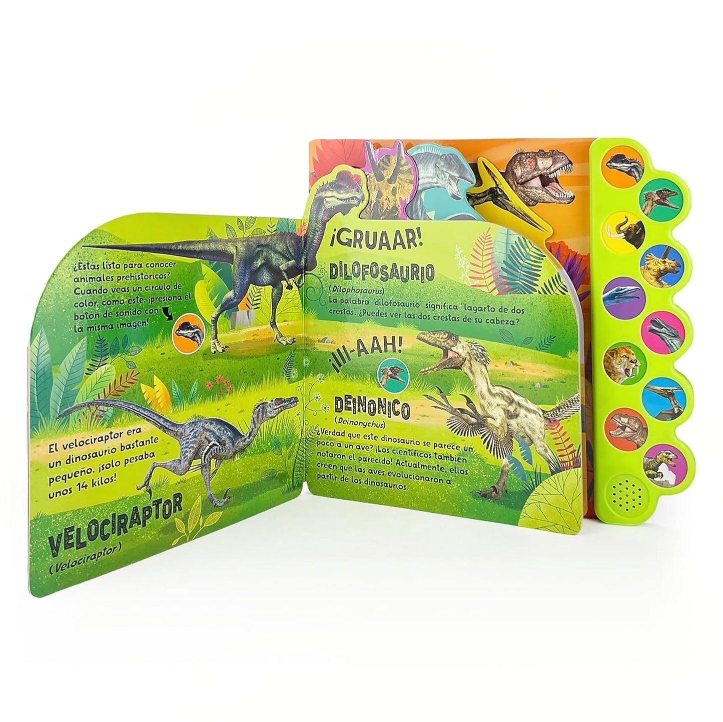 ¡TRAS! ¡PARRAM! ¡GROAR! ¡Escucha sonidos de dinosaurios!