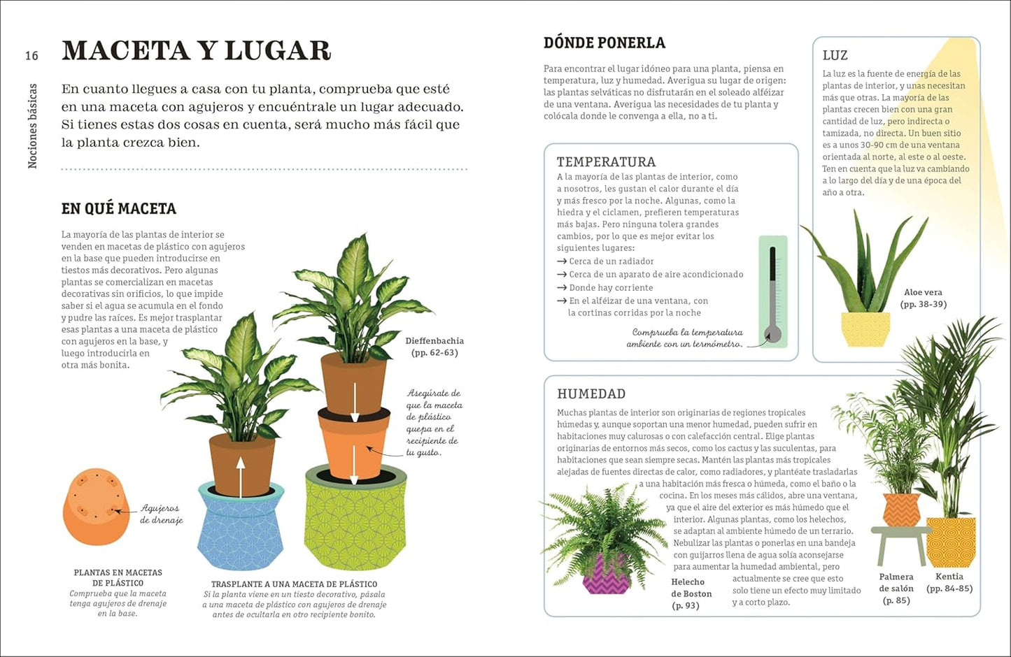 Cómo no matar tus plantas (Nueva edición): Consejos y cuidados para que tus plantas de interior sobrevivan