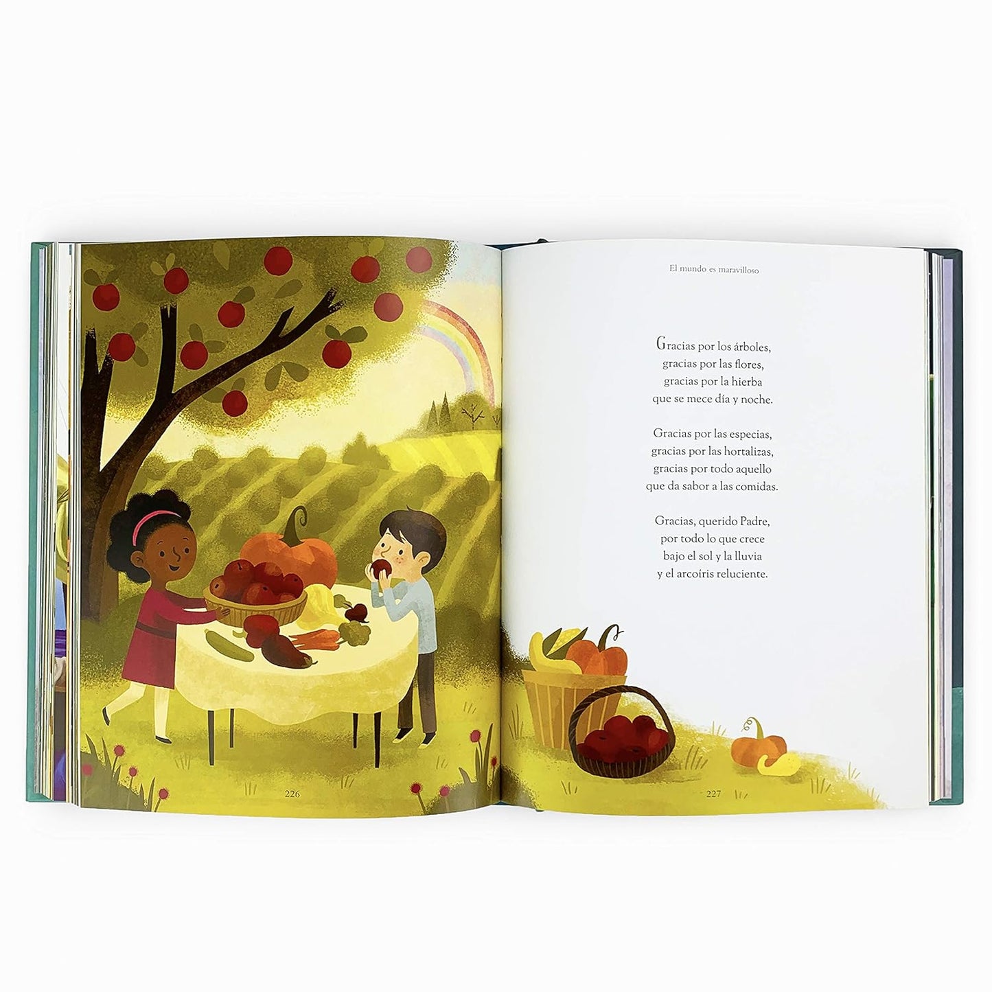 Mi Primera Biblia y Mis Primeras Oraciones, 3 a 8 años, Tapa Dura