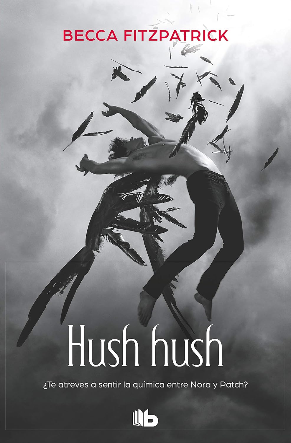 Hush Hush, Libro 1, Debolsillo