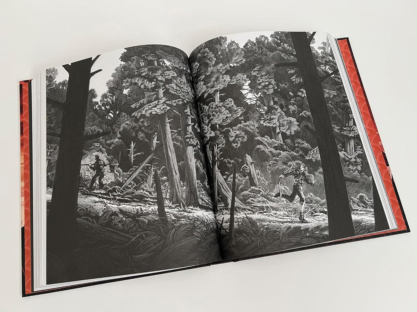 Los juegos del hambre (Edición ilustrada) Tapa Dura