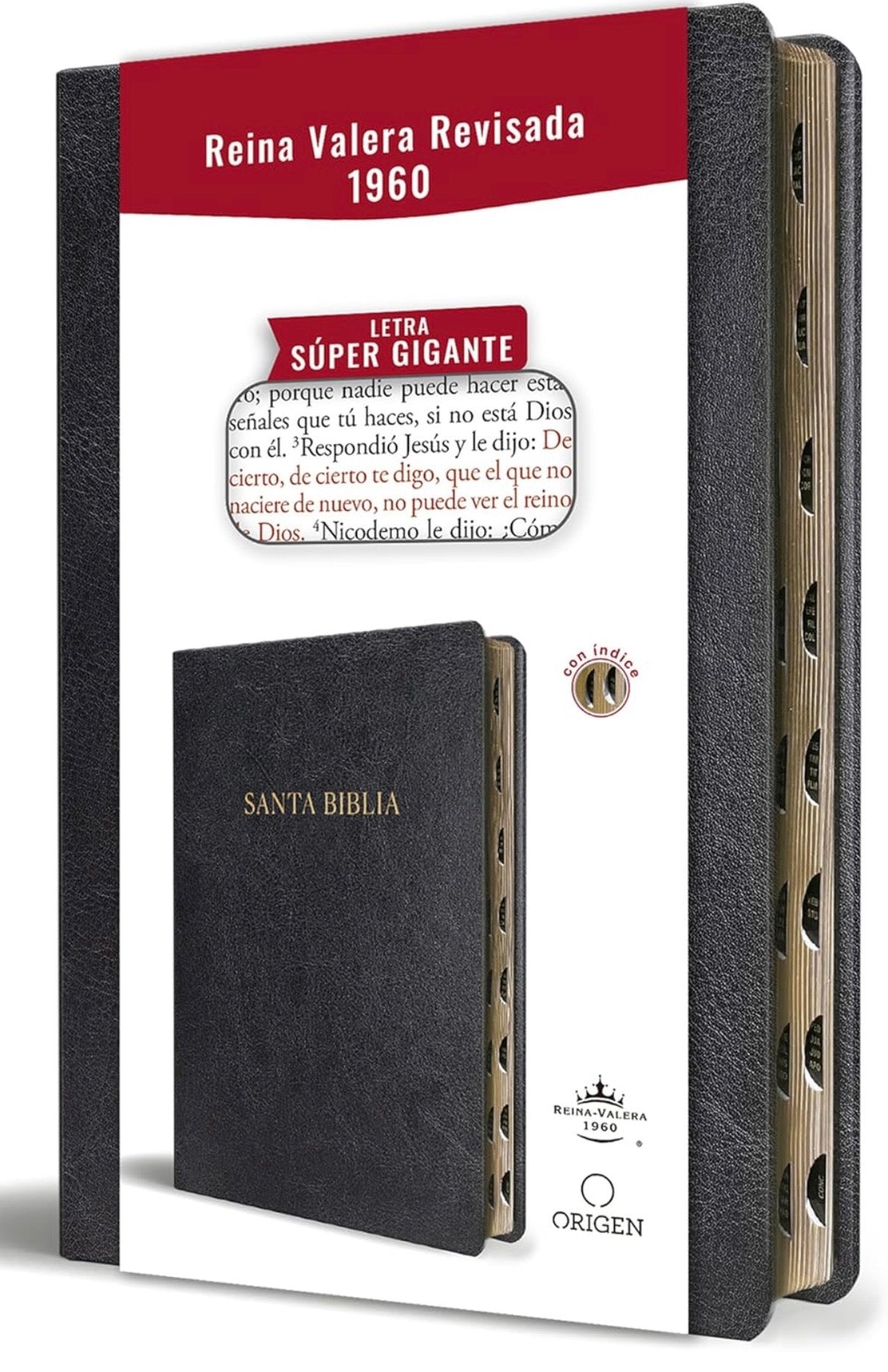 Santa Biblia letra super grande, reina valera revisada 1960