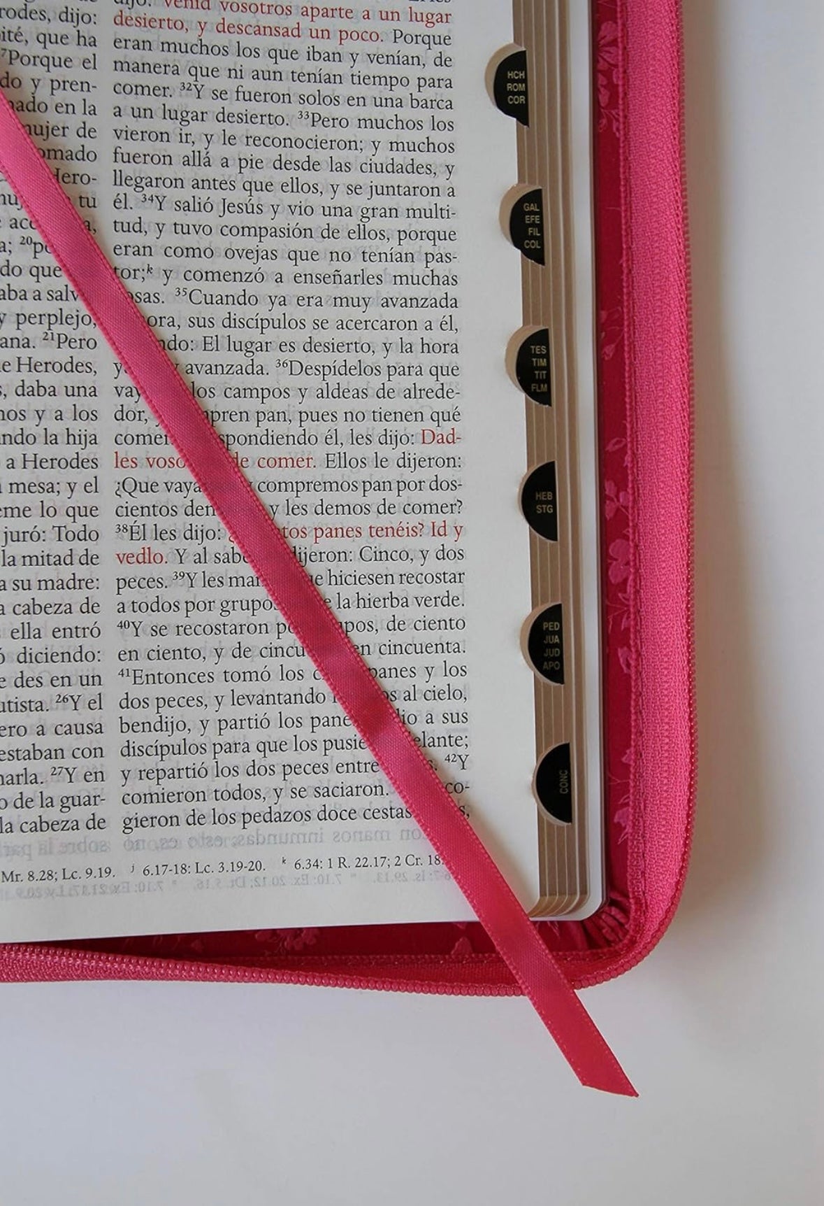 Santa Biblia, Letra Grande con Cremallera, Rosa, RVA 1960