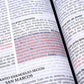 Biblia Jesús para todos, RVR60, Letra grande, Piel Marfil
