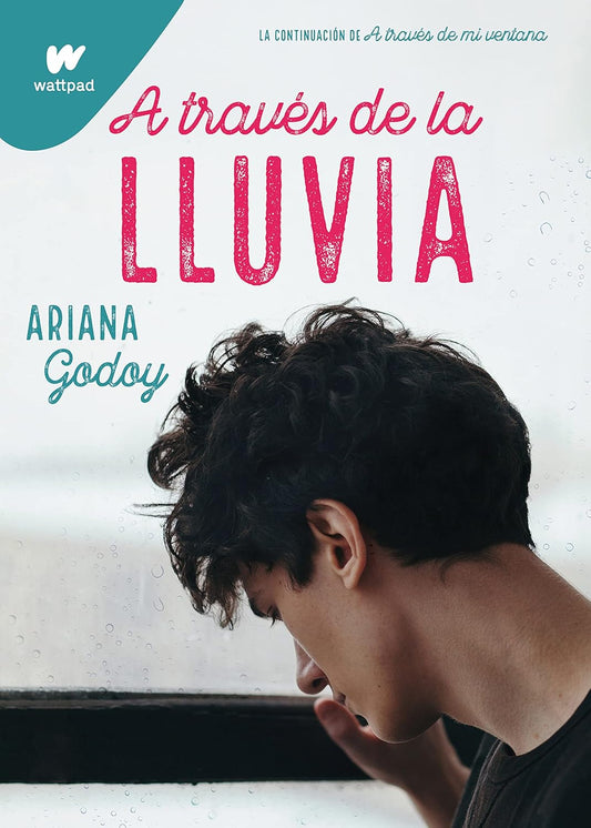 A través de la lluvia (Ariana Godoy)