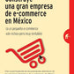 Construye una gran empresa de e-commerce en Mexico, Tapa blanda