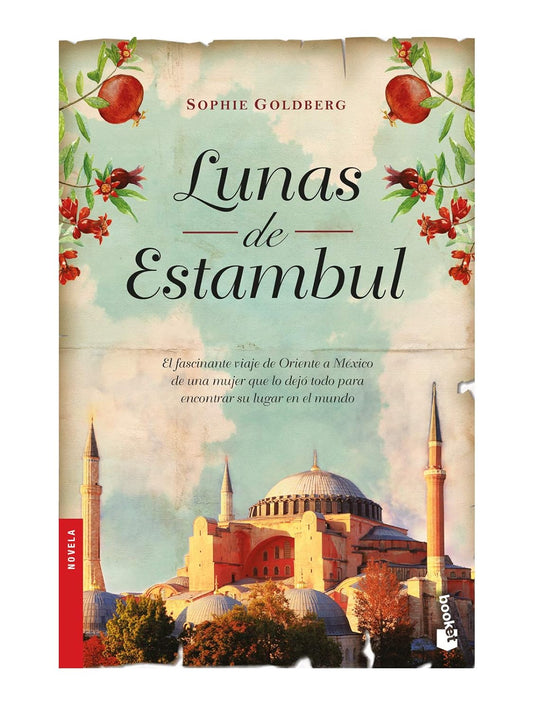 Lunas de Estambul (Sophie Goldberg)