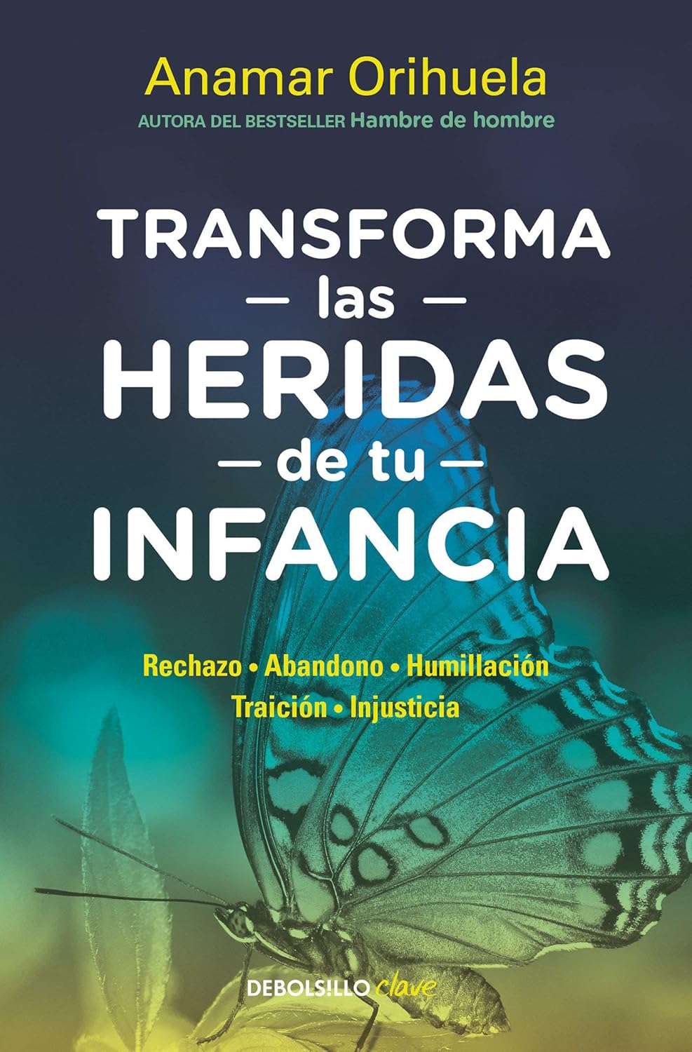 Transforma las heridas de tu infancia (Anamar Orihuela)