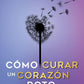 Cómo curar un corazón roto TD. 10 Aniversario, Tapa blanda